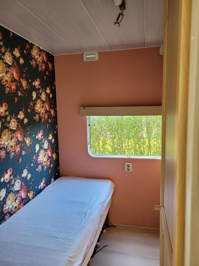 Camping De Blauwe Reiger Pieterzijl 外观 照片